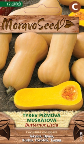 TYKEV PIŽMOVÁ MUŠKÁTOVÁ - BUTTERNUT LISCIA