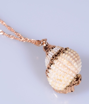 MUŠLE ZLACENÁ BARVOU 18K ZLATA S ŘETÍZKEM (60cm)